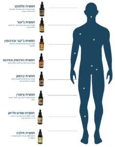 חוכמת הגוף